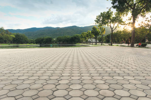 Best Driveway Paving Contractor  in Sugarmill Woods, FL