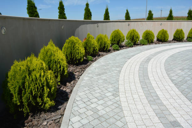 Best Custom Driveway Pavers  in Sugarmill Woods, FL